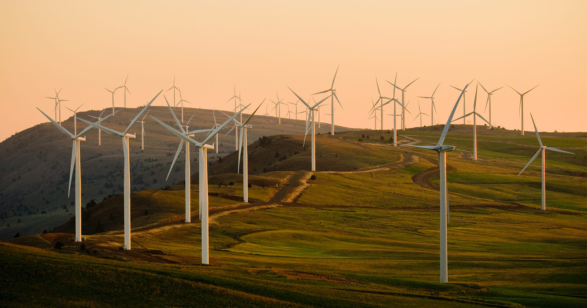 Renewables