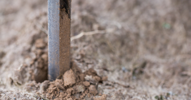soil sample