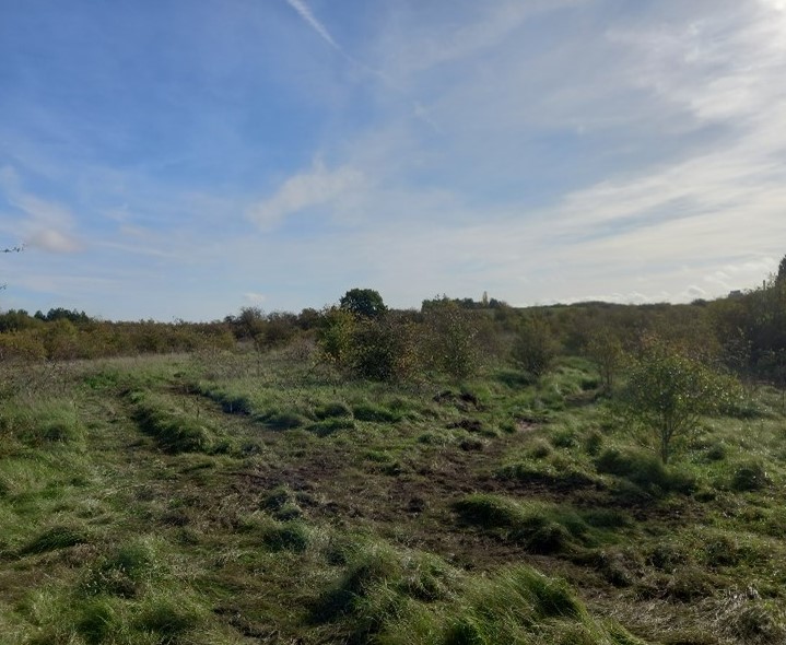 Site Investigation for Belvoir Ironworks