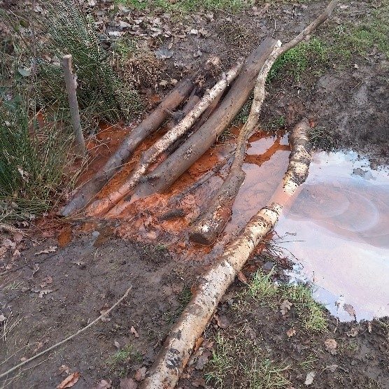 Phase I Environmental Desk Study at Temple Newsam Park