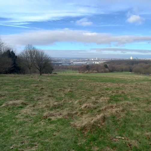 GeoEnviro_Solutions_Temple-Newsam-Park_Case-Study.