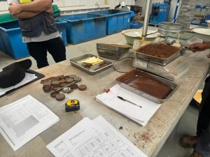 Ground Investigation and Earthworks Specification for a New Prison Development on St Helena